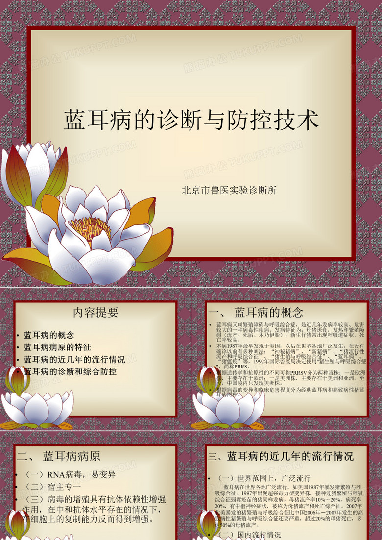 蓝耳病培训教程1