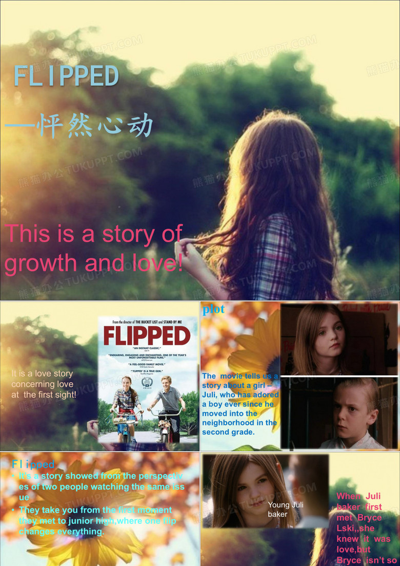 怦然心动英文介绍ppt