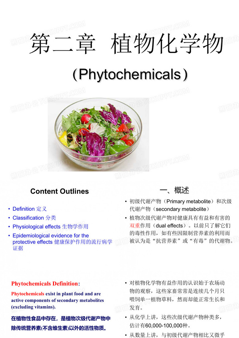 营养学之植物化学物