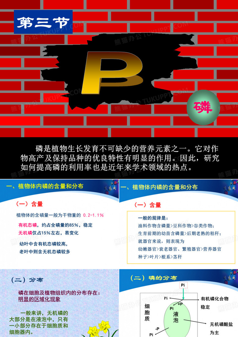 植物营养学课件-磷