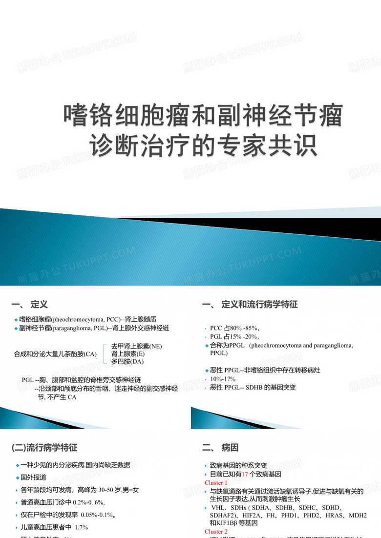 嗜铬细胞瘤共识