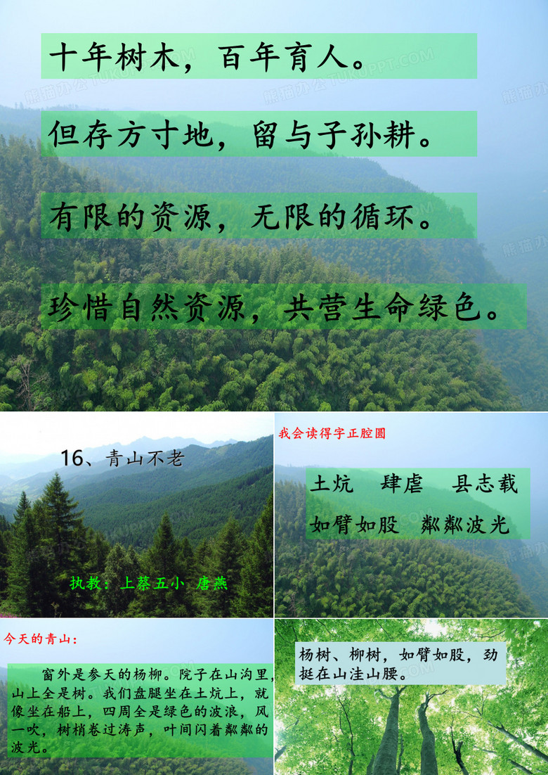 青山不老PPT课件