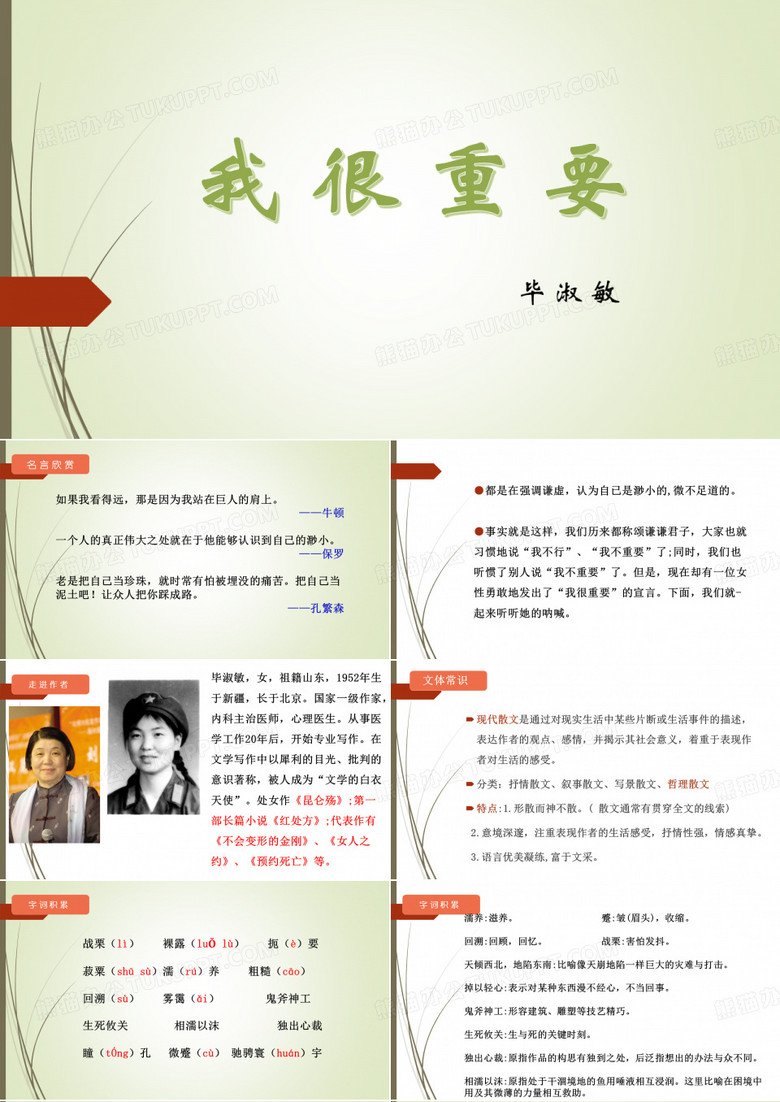 《我很重要》—毕淑敏课件