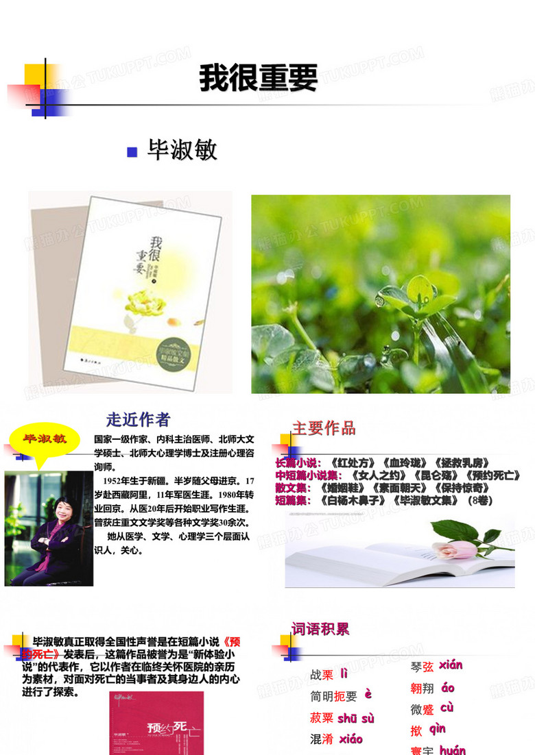 《我很重要》PPT课件--毕淑敏