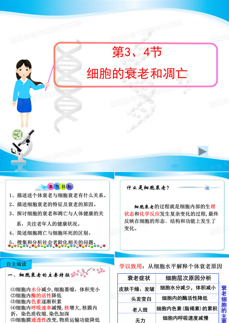 细胞的衰老和凋亡