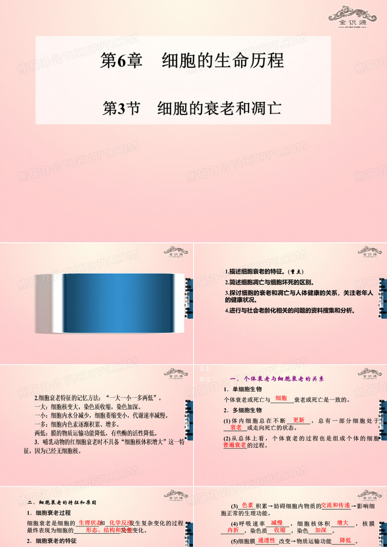 细胞的衰老和凋亡