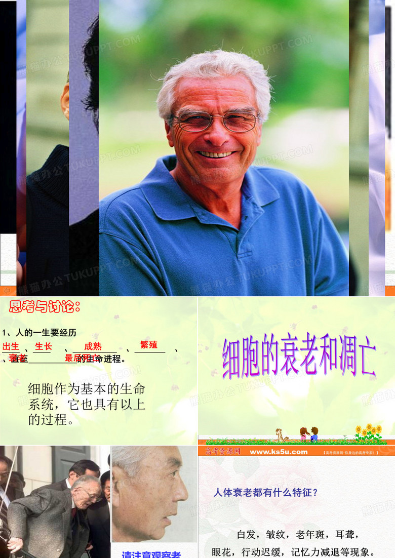 细胞的衰老和凋亡