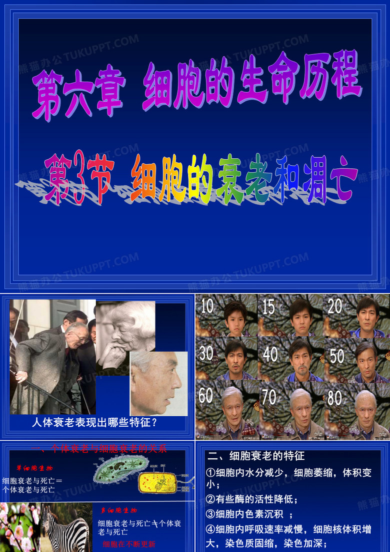 细胞的衰老和凋亡