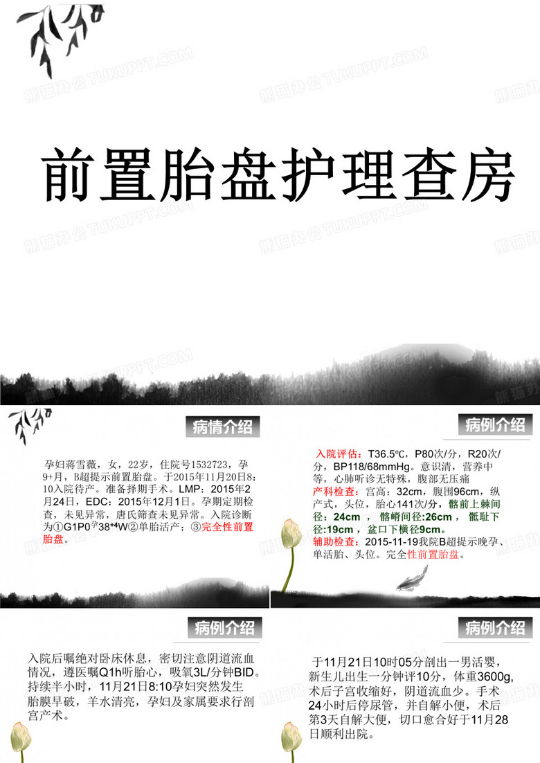 前置胎盘护理查房