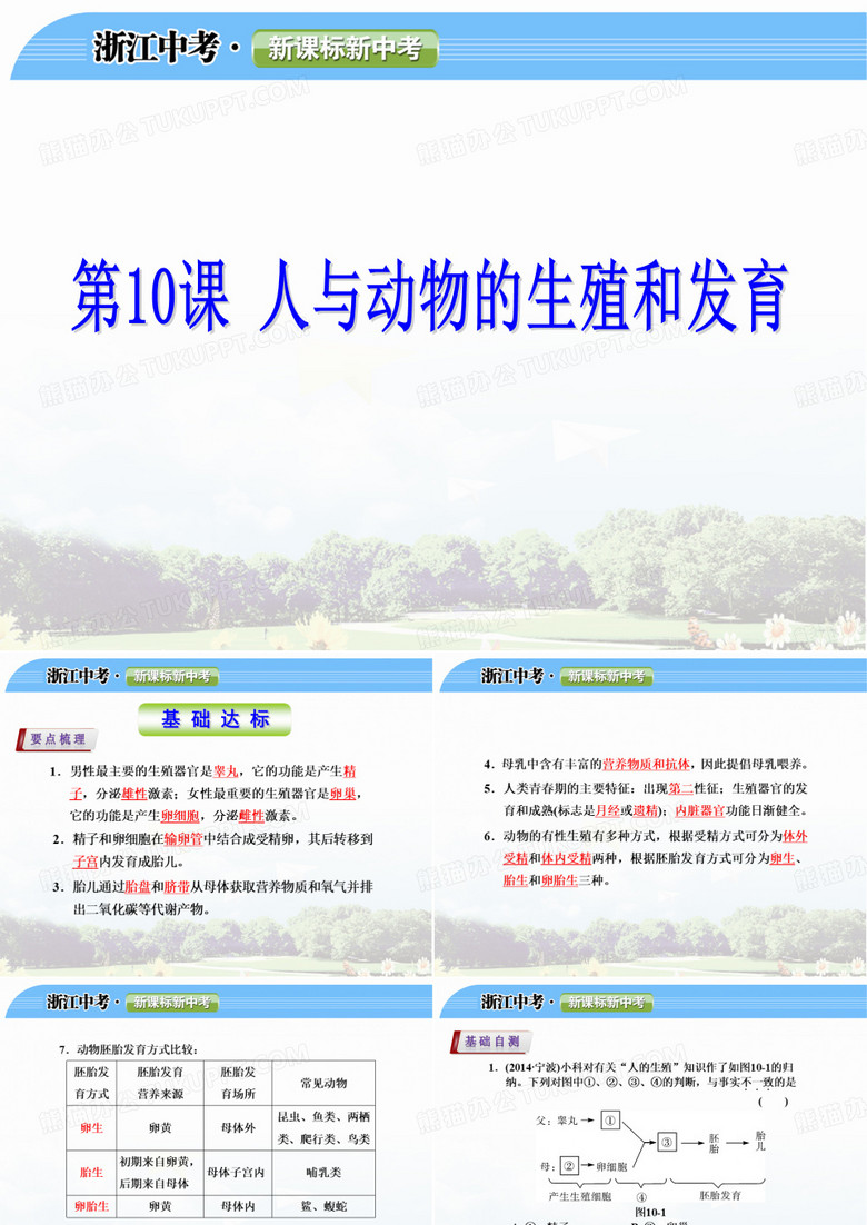 人与动物的生殖和发育