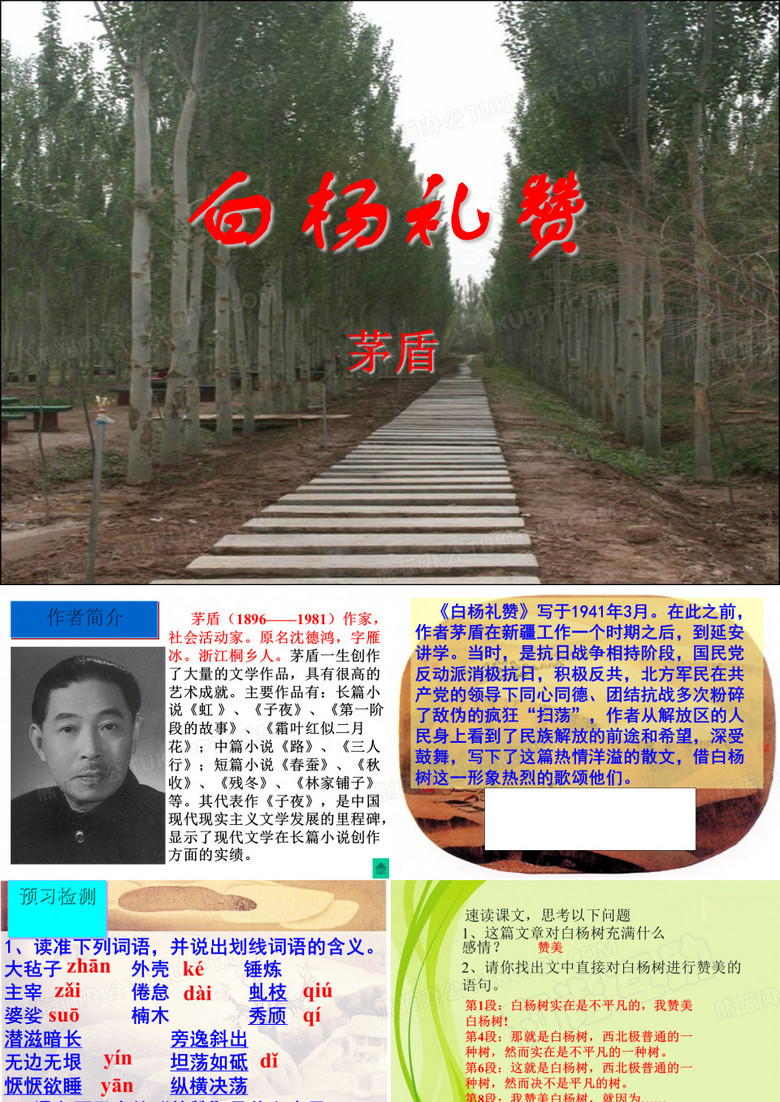 《白杨礼赞》ppt课件(7)完美版