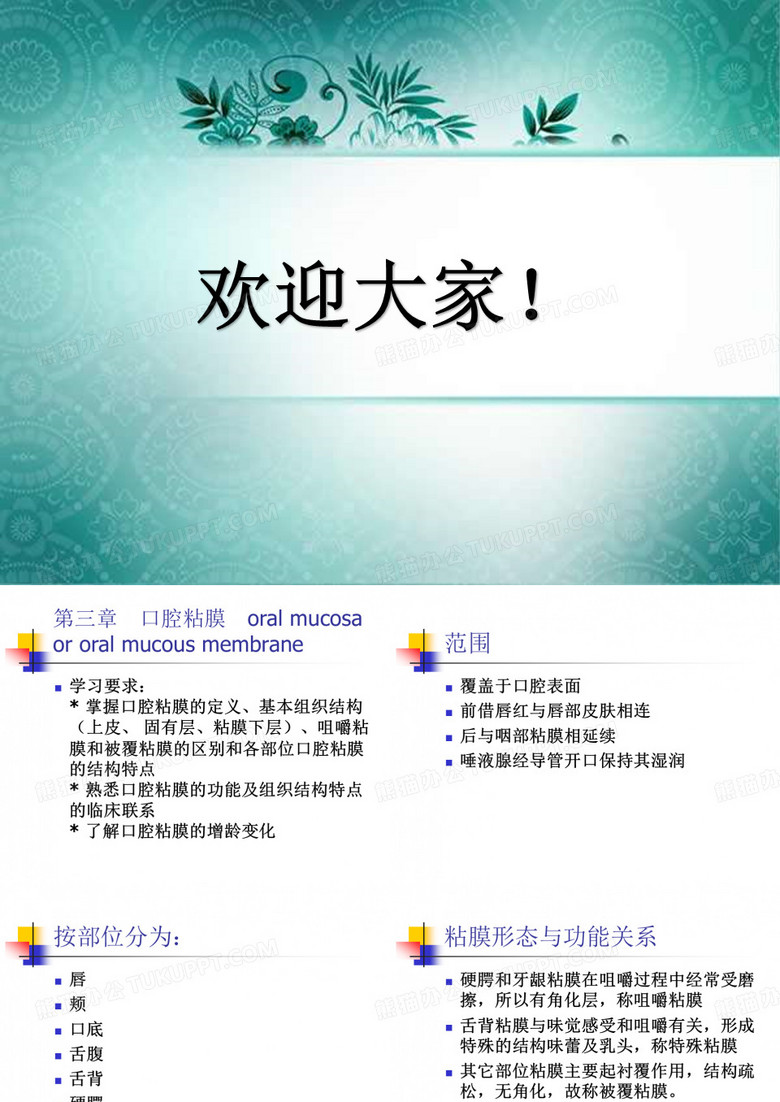 口腔组织病理学口腔黏膜 PPT
