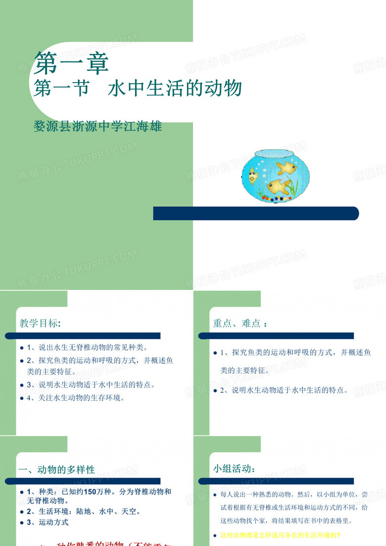 水中生活的动物