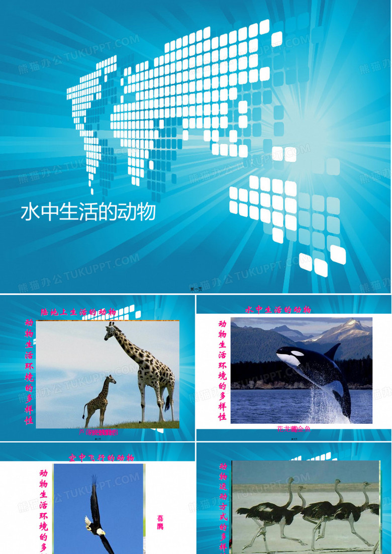 水中生活的动物