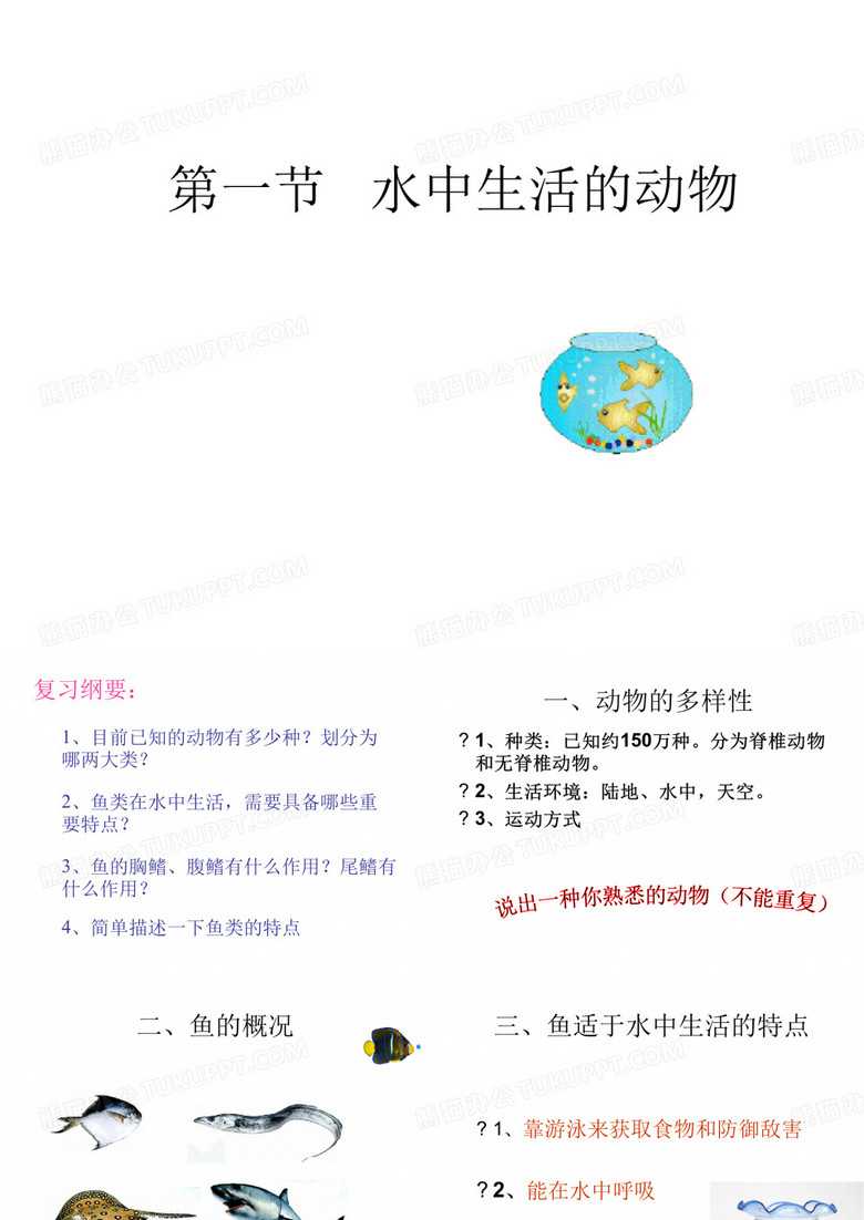 水中生活的动物
