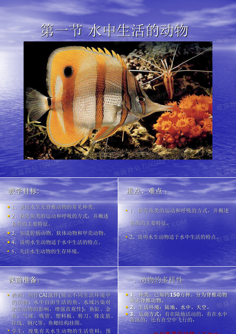 水中生活的动物