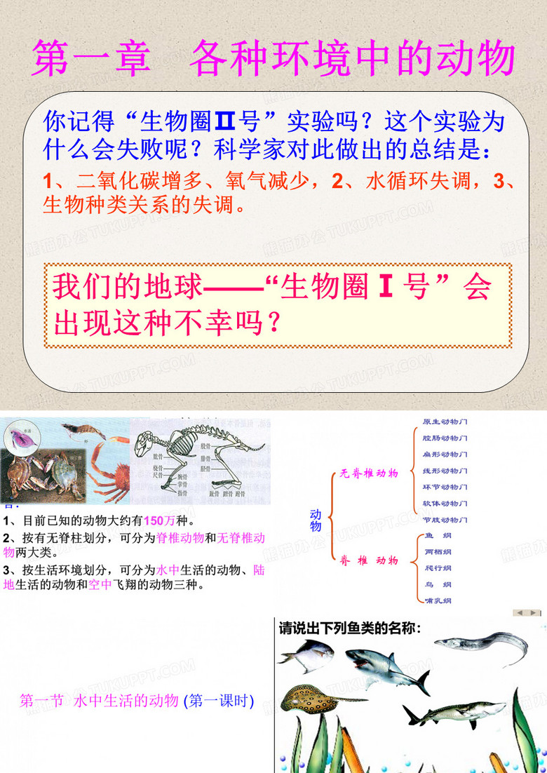 水中生活的动物