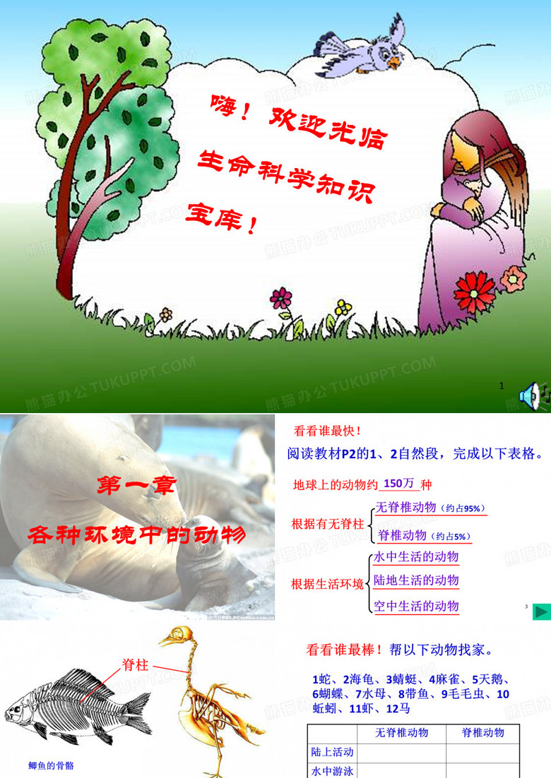《水中生活的动物》PPT课件