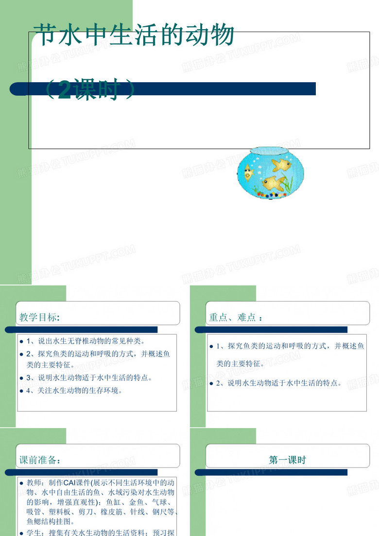 水中生活的动物PPT课件
