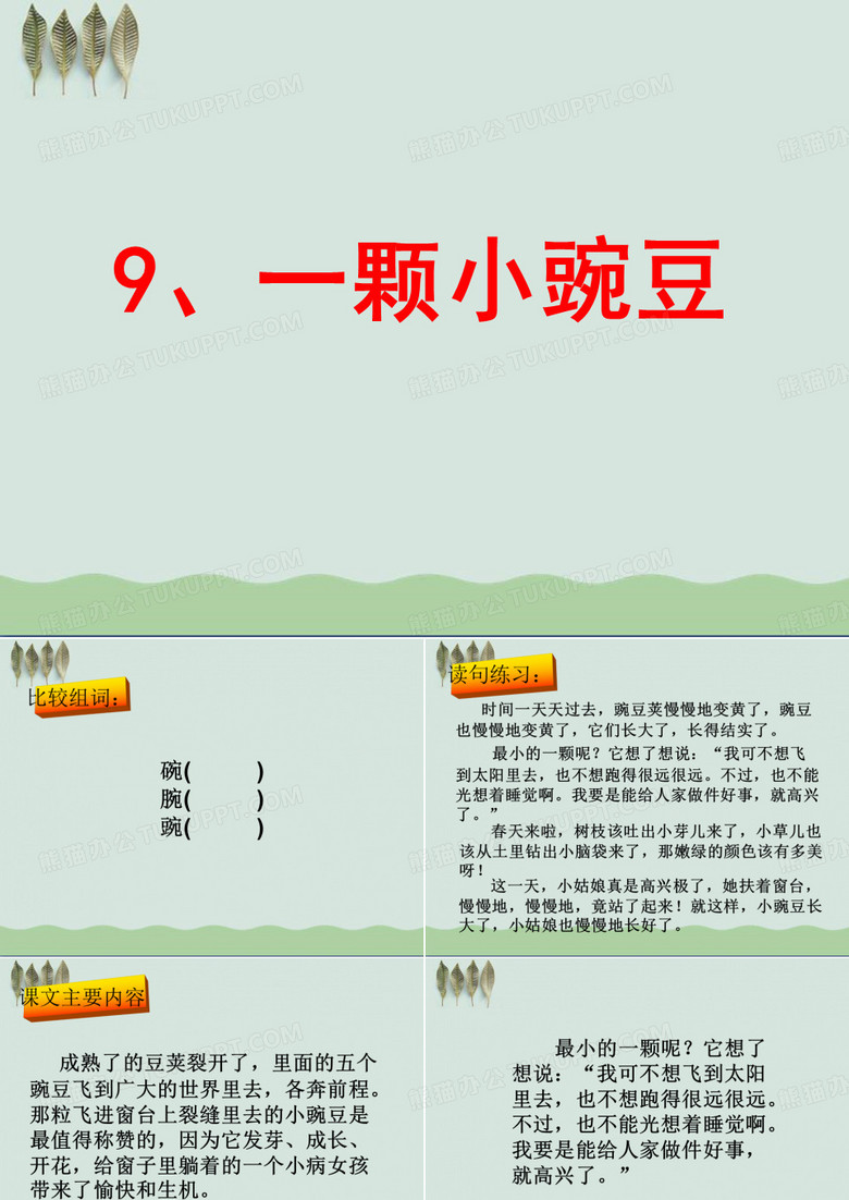 《一颗小豌豆》PPT课件