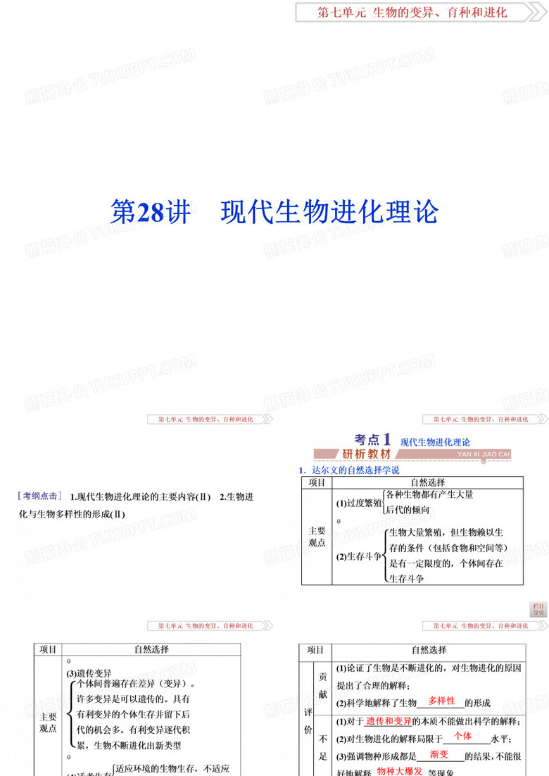 现代生物进化理论