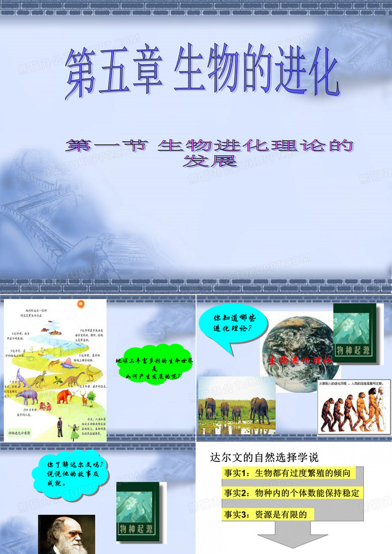 现代生物进化理论