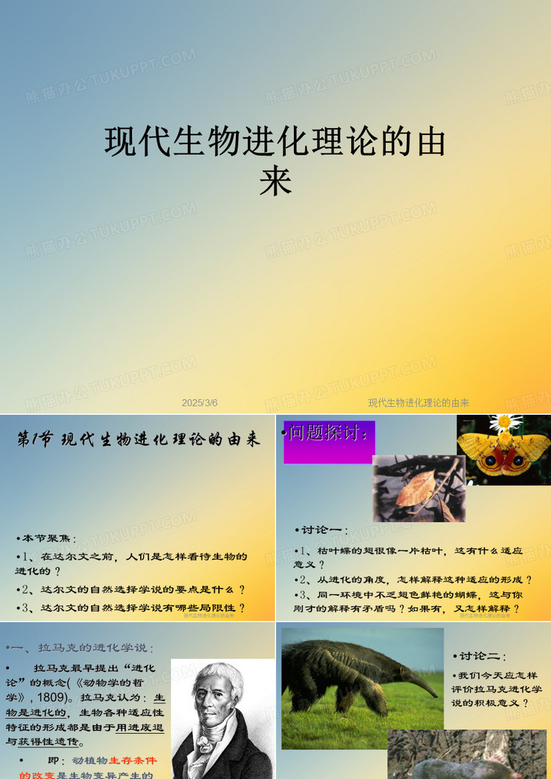 现代生物进化理论的由来