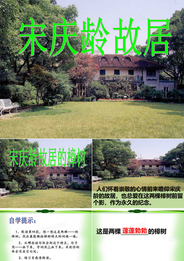 宋庆龄故居的樟树ppt