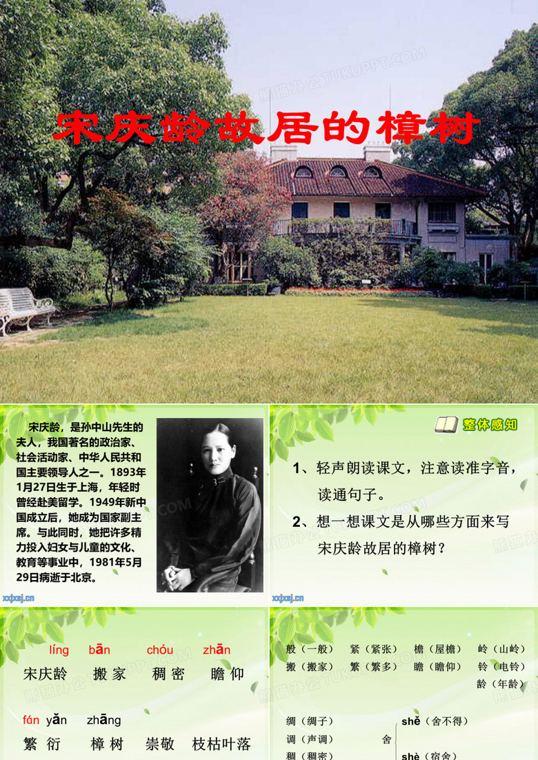 宋庆龄故居的樟树PPT
