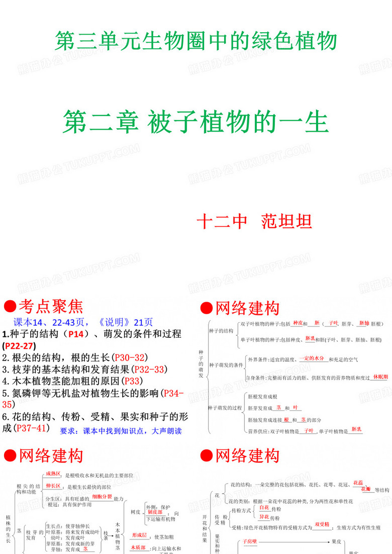 被子植物的一生