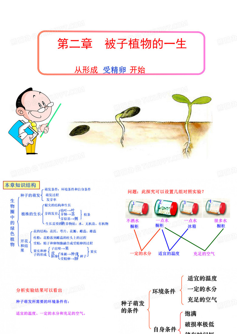 复习被子植物的一生