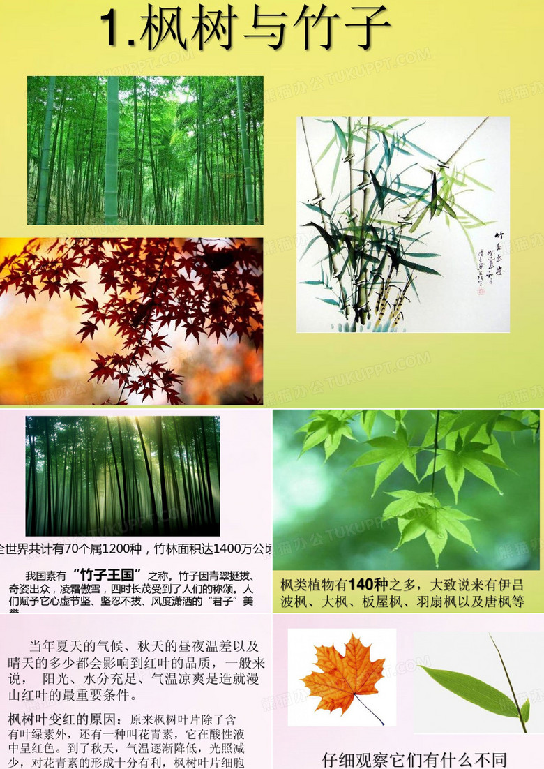 二年级科学1