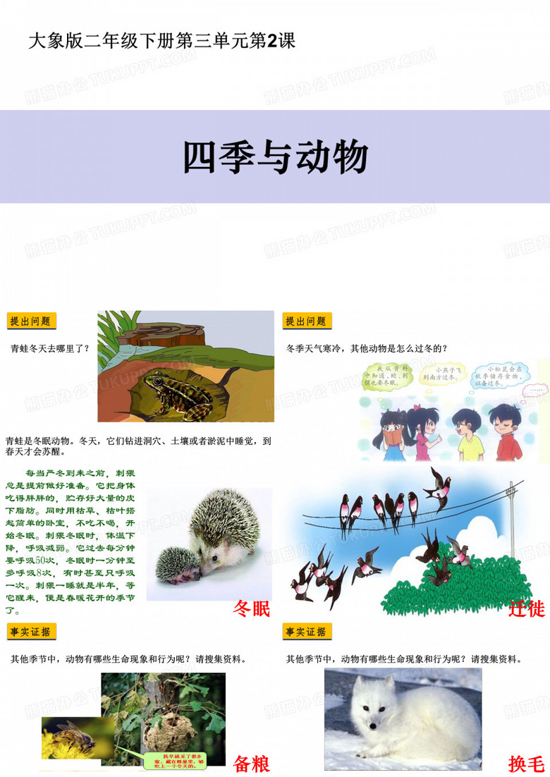 二年级科学四季与动物