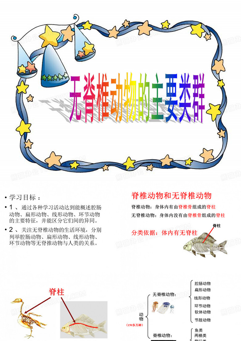 无脊椎动物的主要类群