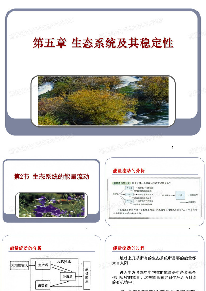 生态系统及其稳定性