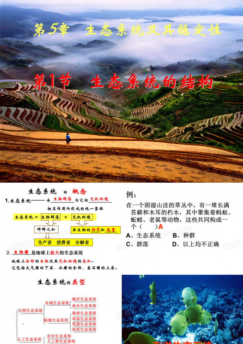 生态系统及其稳定性(生态系统的结构)