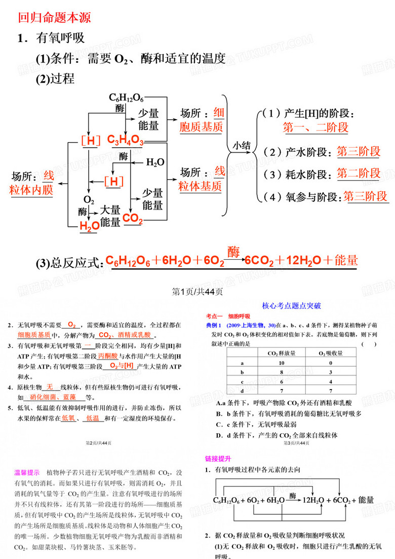光合作用和呼吸作用