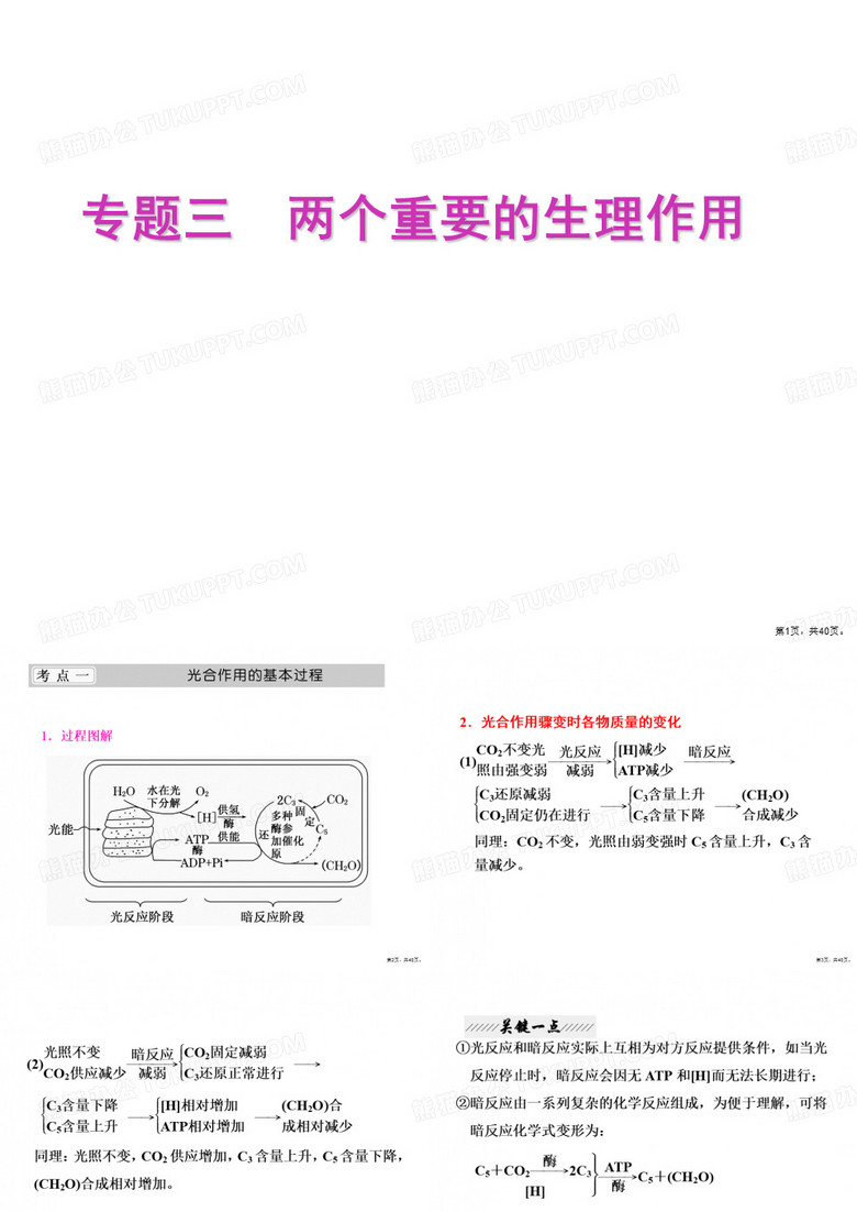 光合作用和呼吸作用