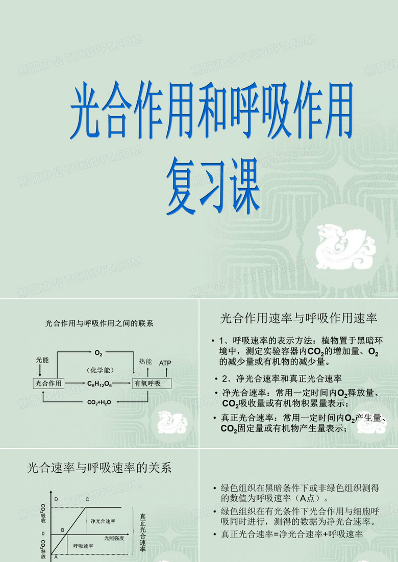 光合作用和呼吸作用复习