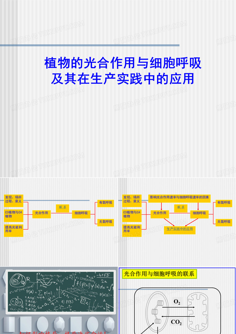 光合作用和呼吸作用的比较