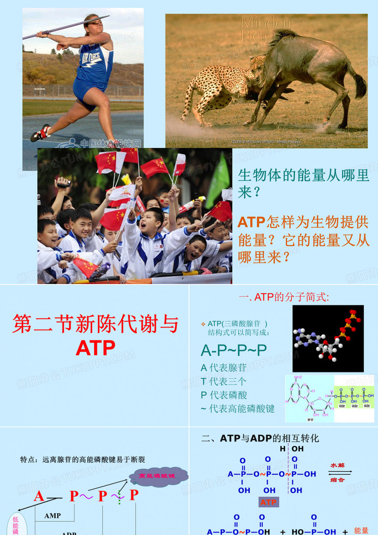 ATP和光合作用呼吸作用