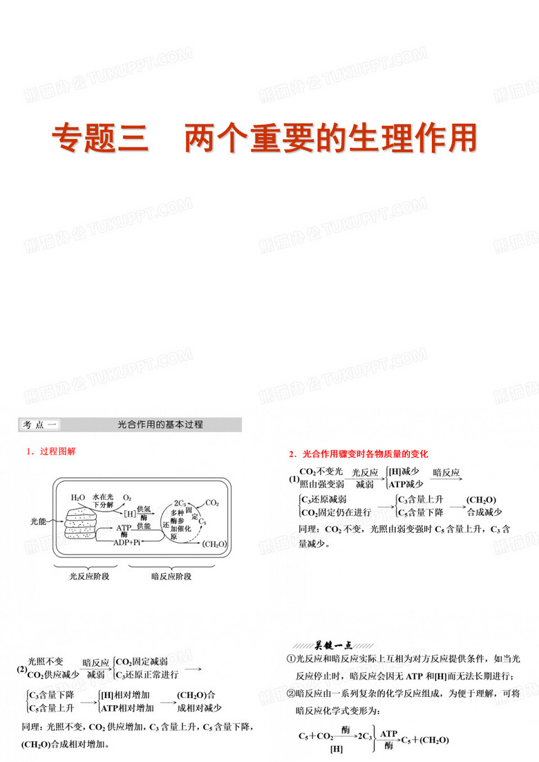 光合作用和呼吸作用ppt