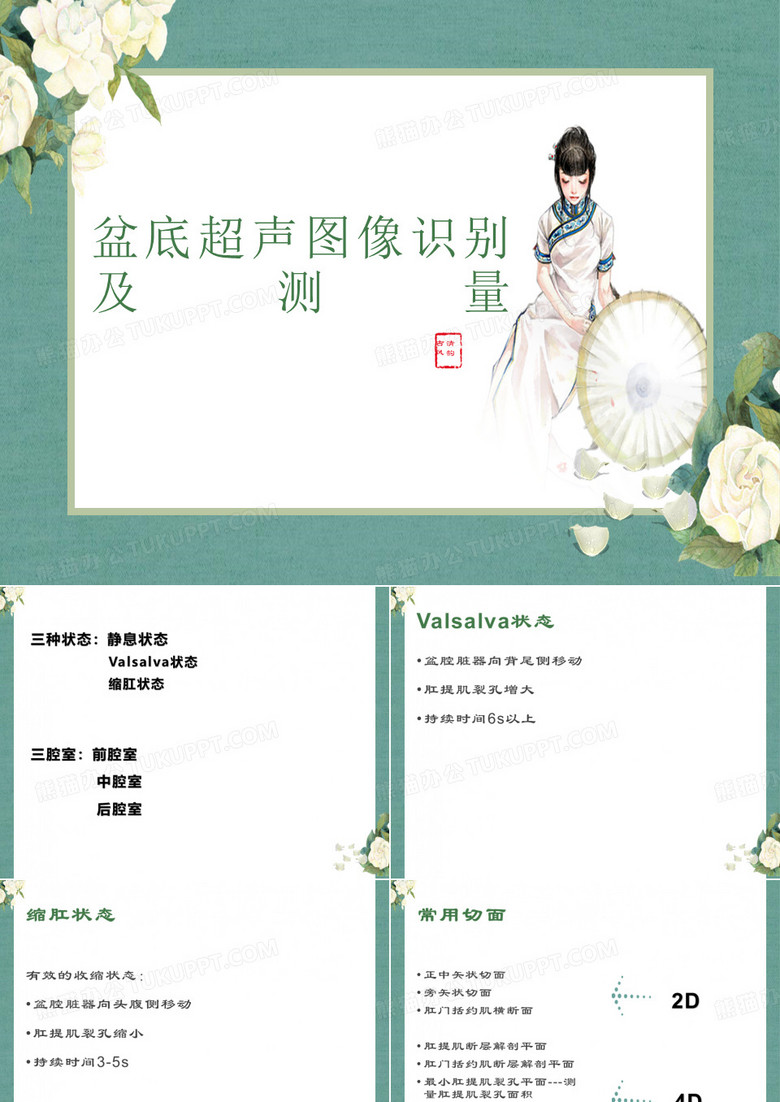 盆底超声图像识别与测量