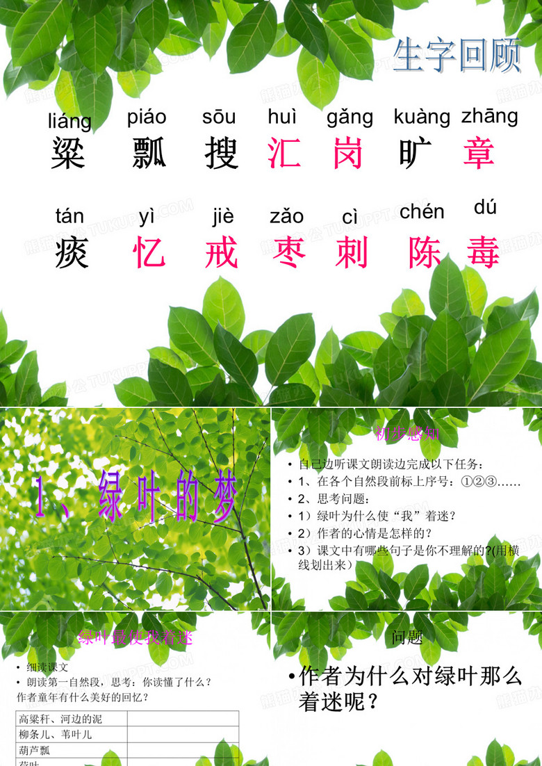 绿叶的梦