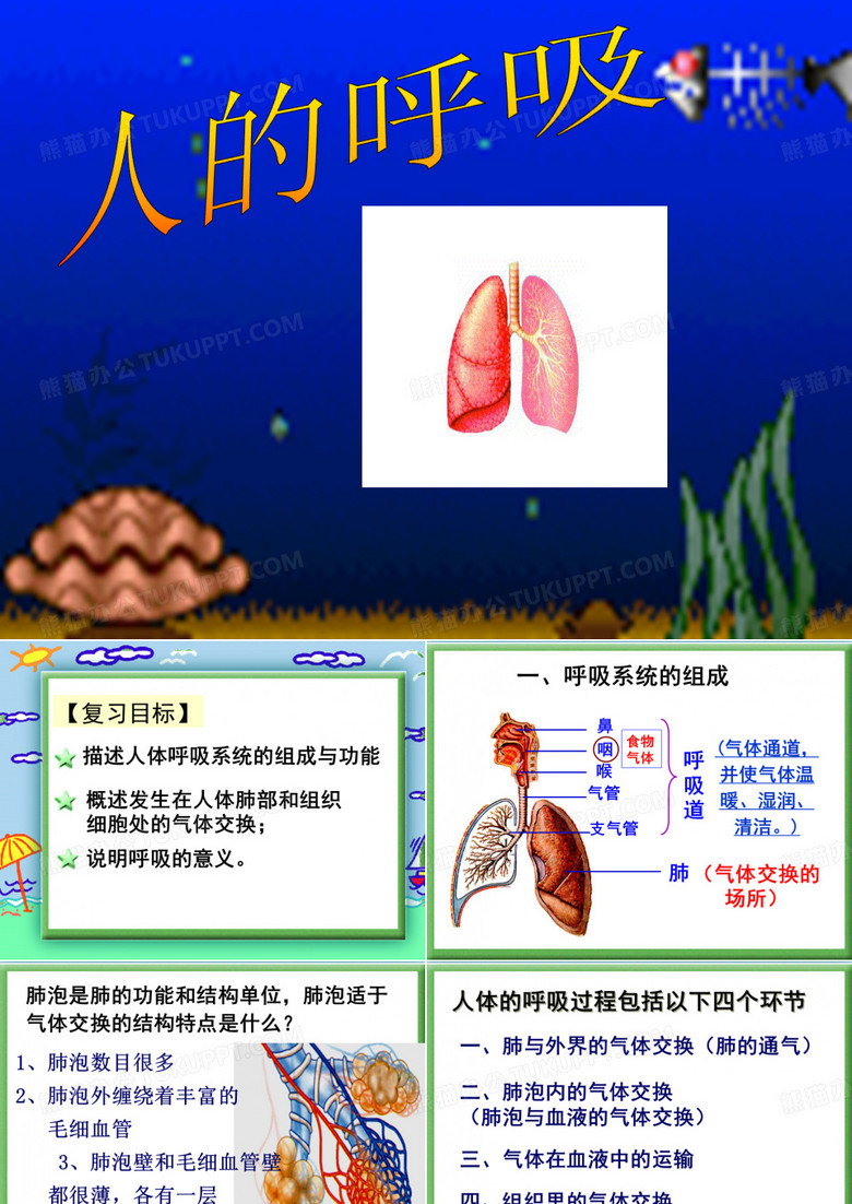 人的呼吸-完整版PPT课件