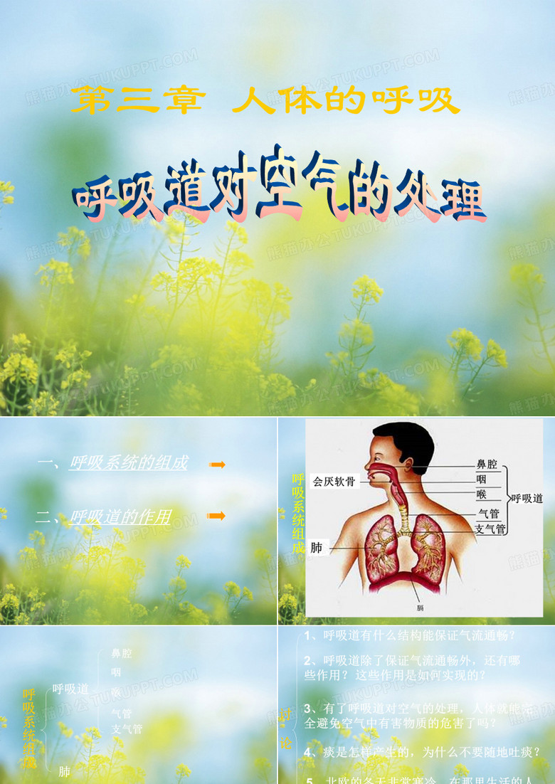 人的呼吸中小学PPT教学课件