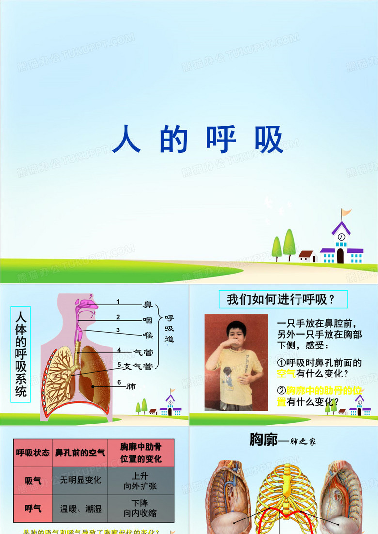 苏教版《人的呼吸》PPT课件下载