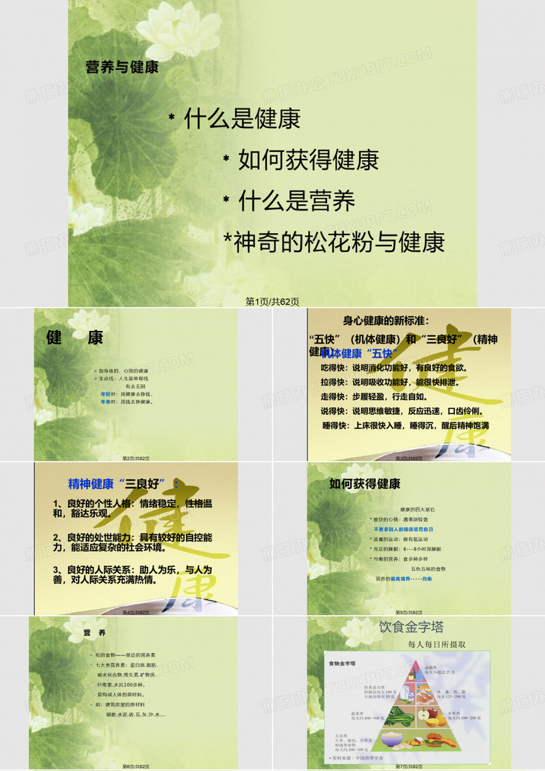 神奇的松花粉PPT课件