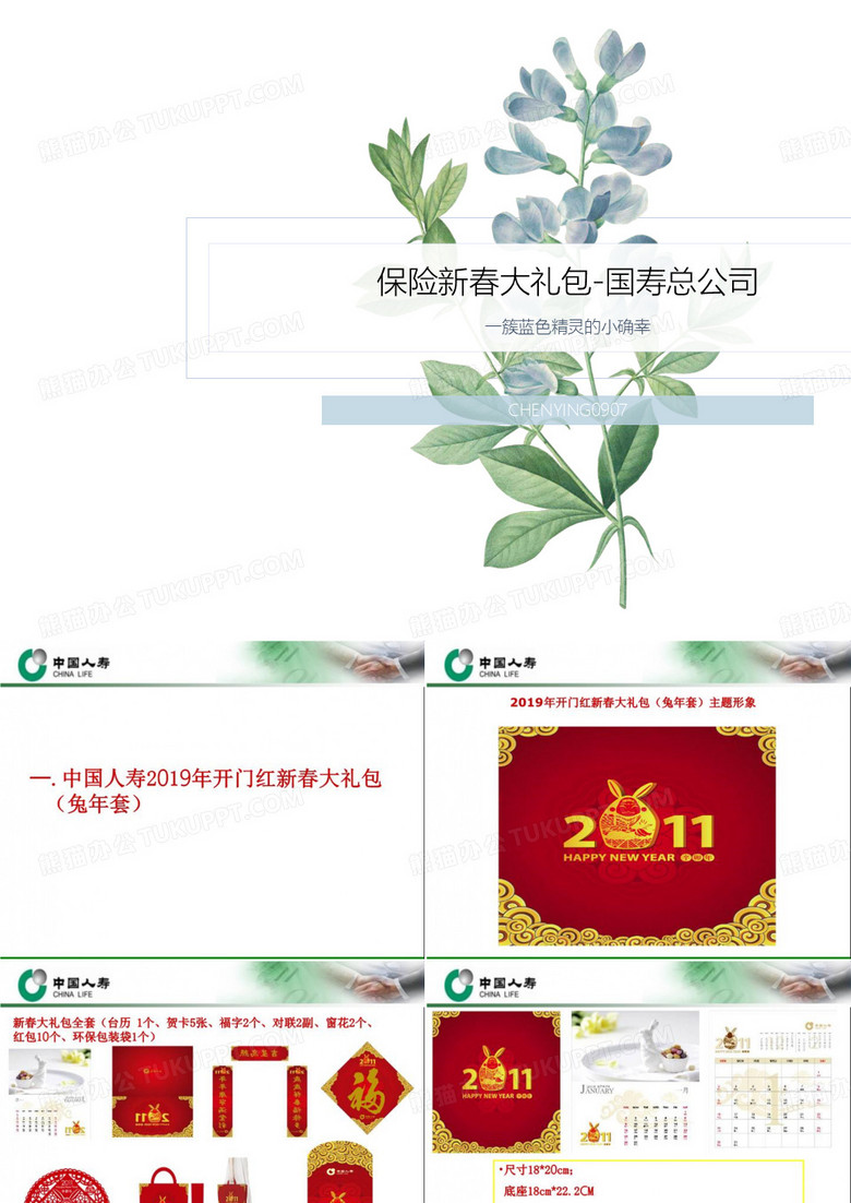 保险新春大礼包-国寿总公司