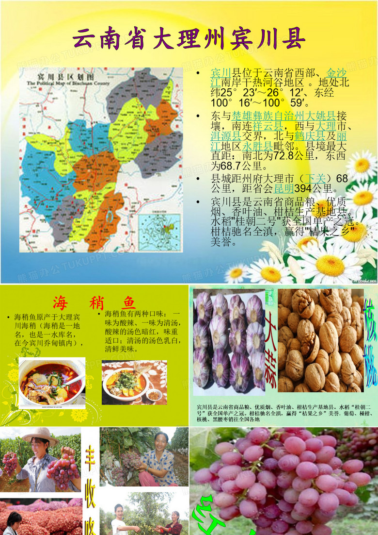 云南大理州宾川县